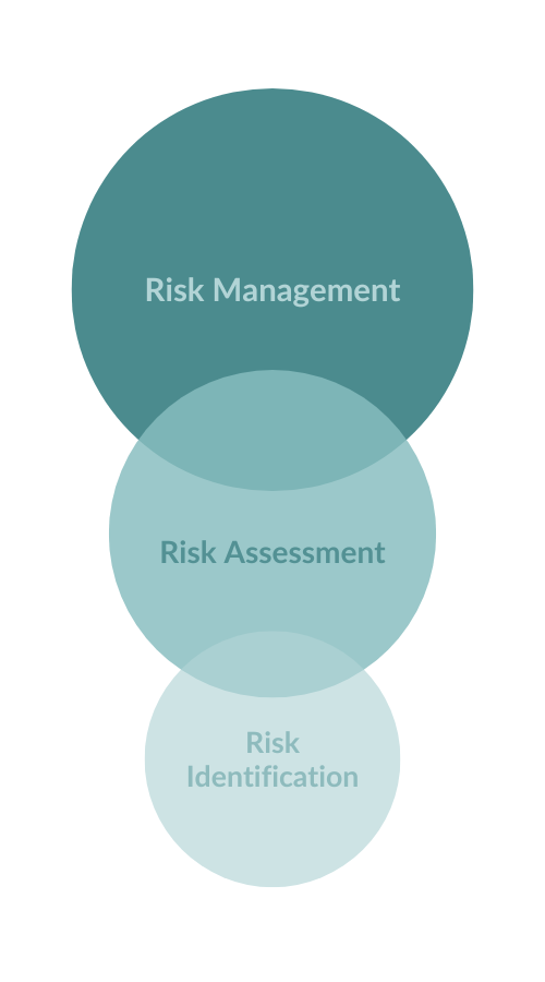 risk assessment business